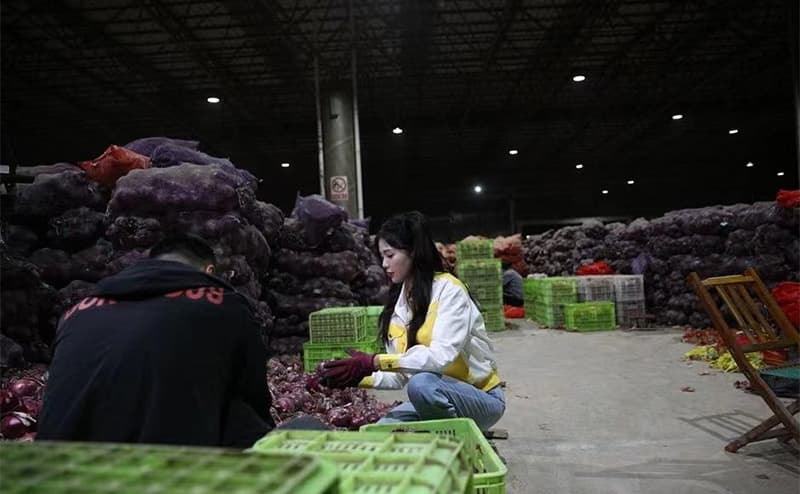 images/1653379845896vegetable sorter.jpg